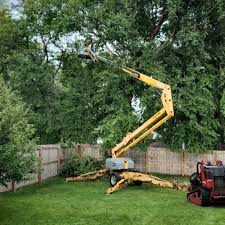 Trusted Hannahs Mill, GA Tree Care Experts